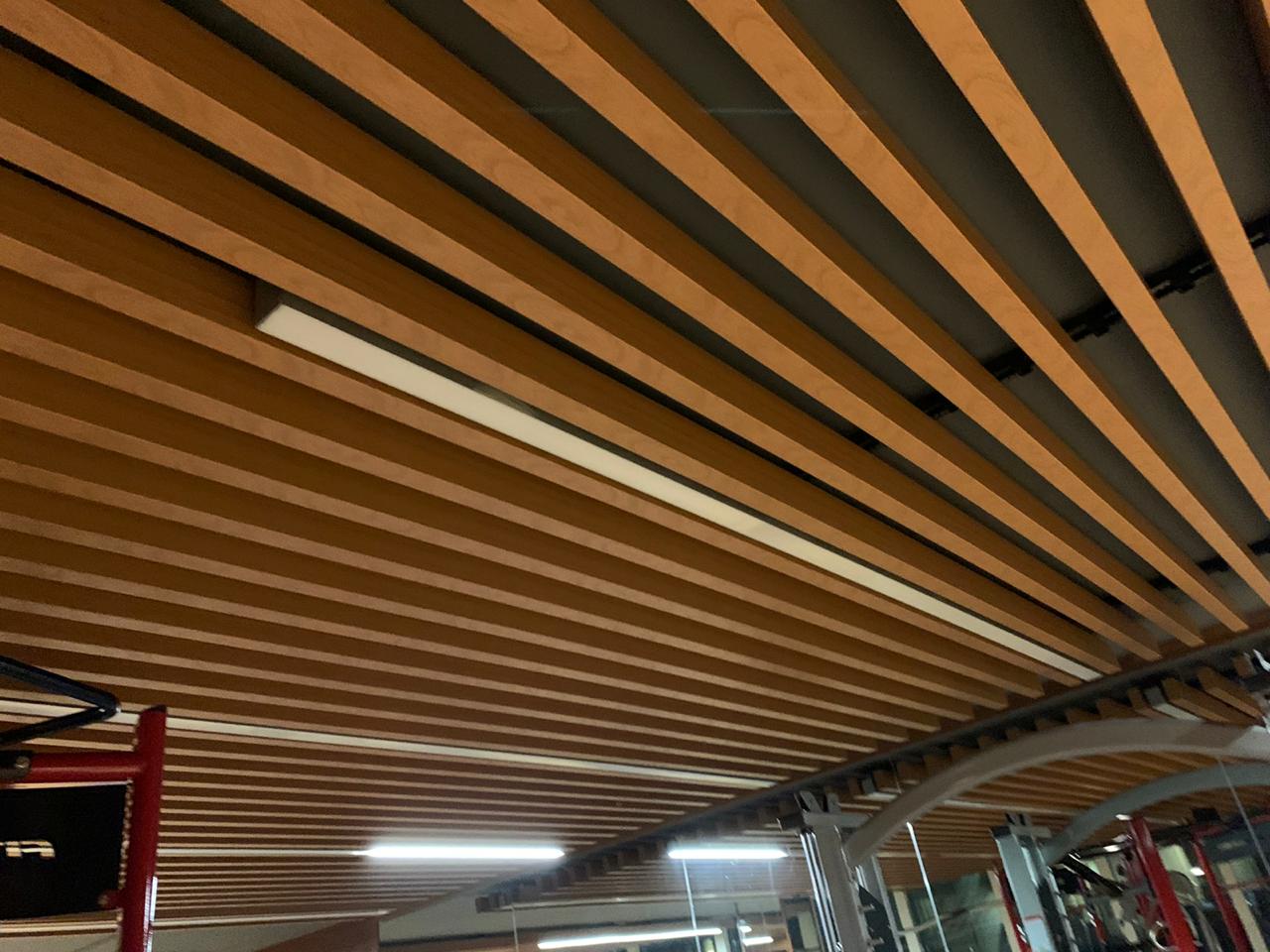 ACP & Wood Ceiling Panels